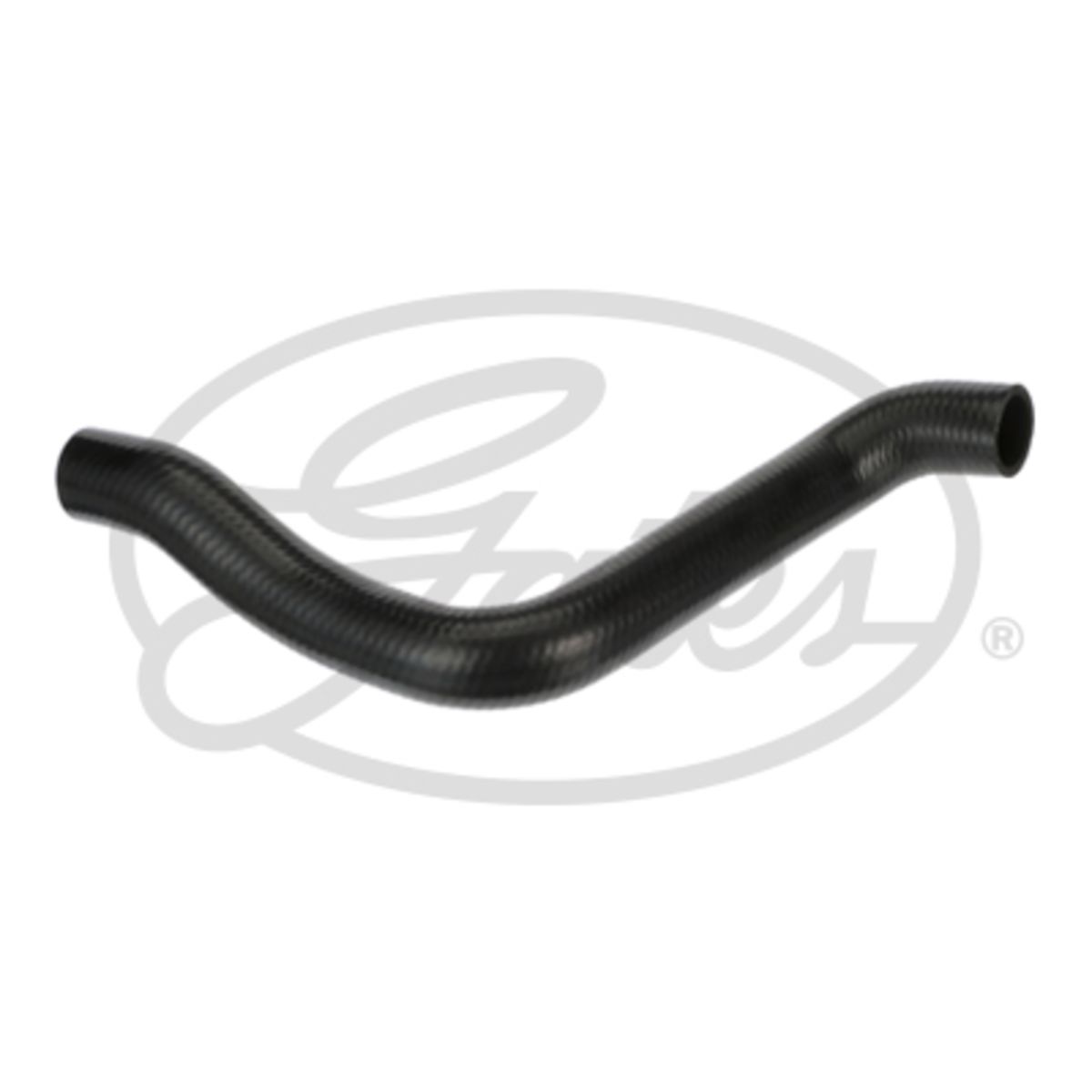 Image of Radiatorslang