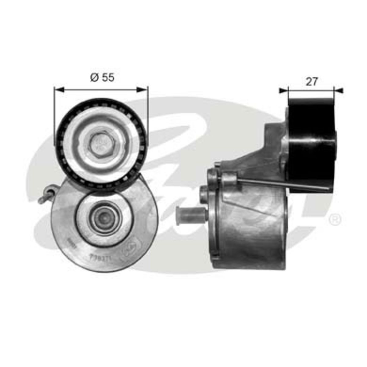 Image of Spanpoelie, V-riem