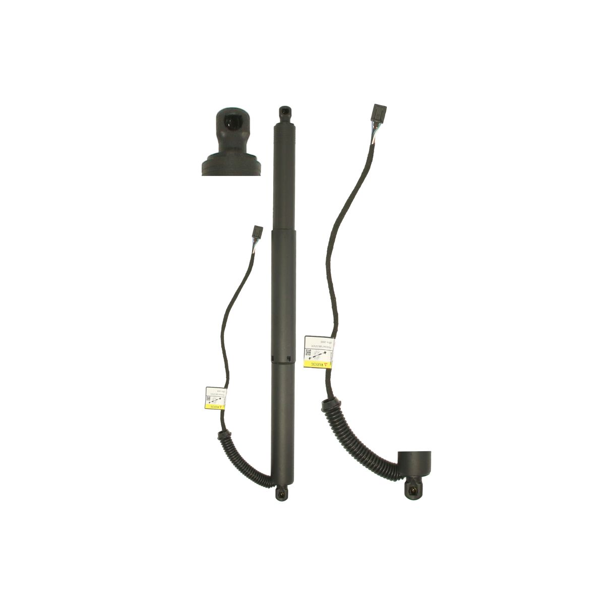 Magnum Technology Elektromotor, Heckklappe Mgs0203mt