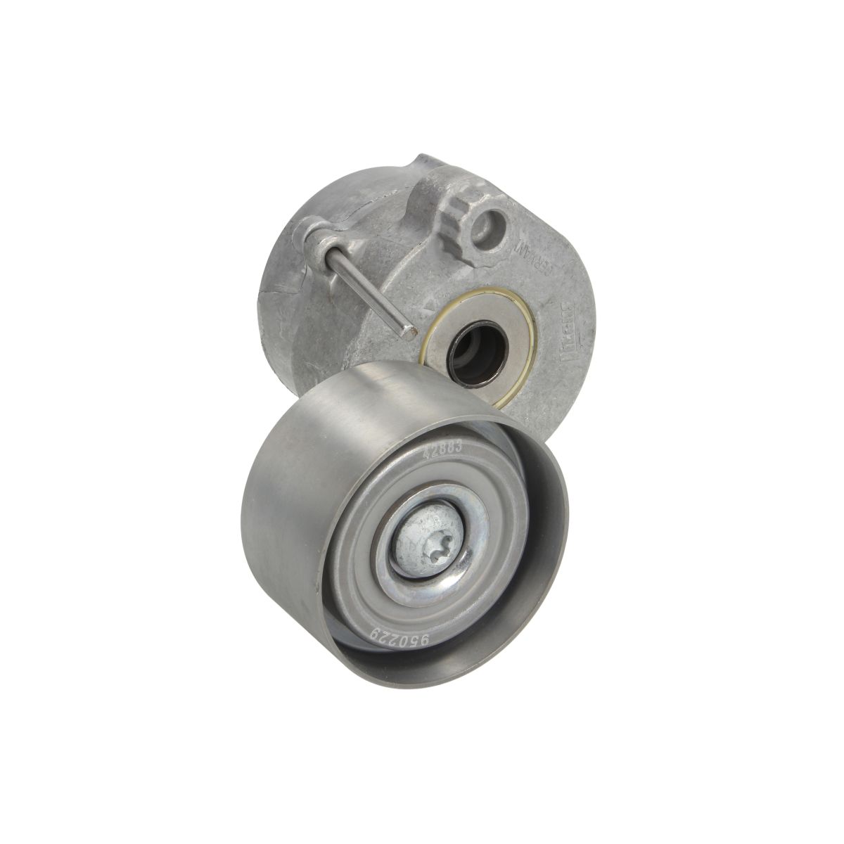 Image of Spanpoelie, V-riem