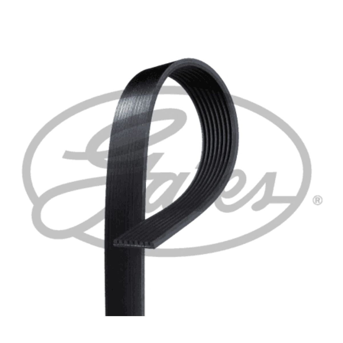 Image of Poly V-riem  GAT