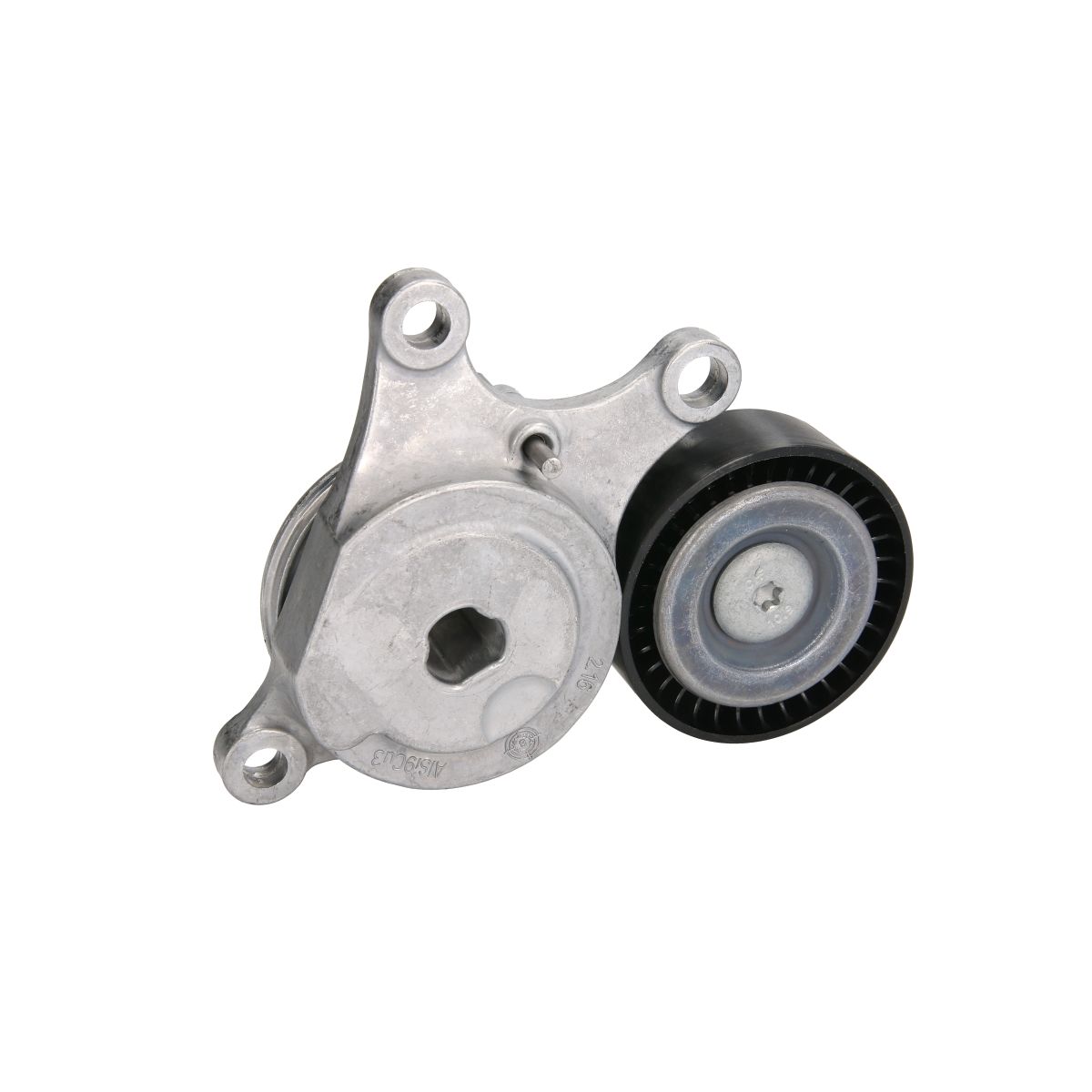Image of Spanpoelie, V-riem