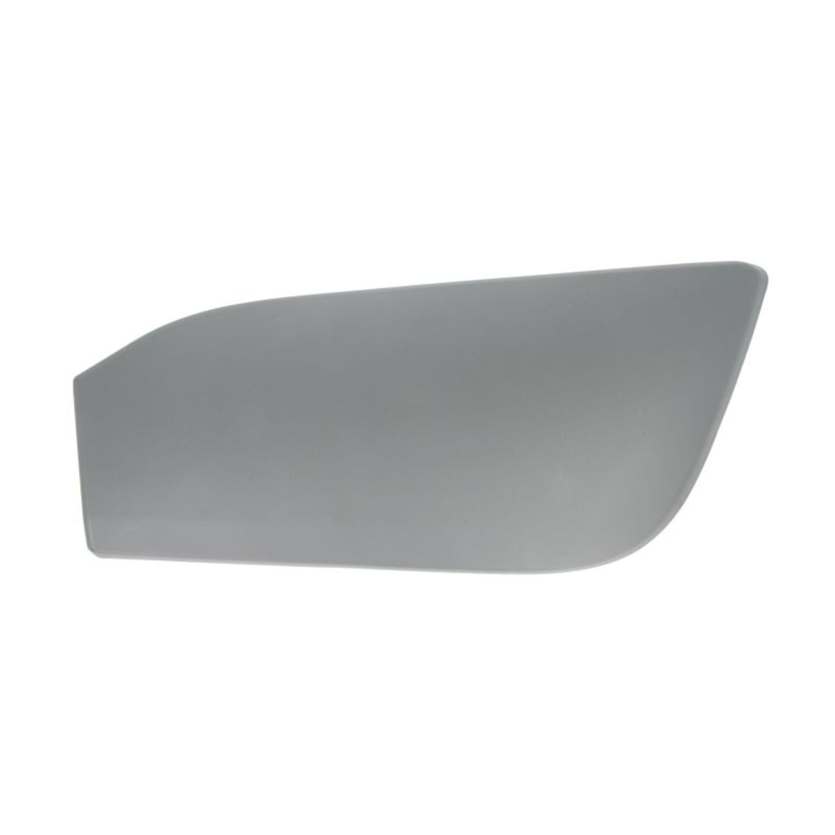 Parachoques - moldura decorativa/protectora BLIC 5513-00-0095971P izquierda