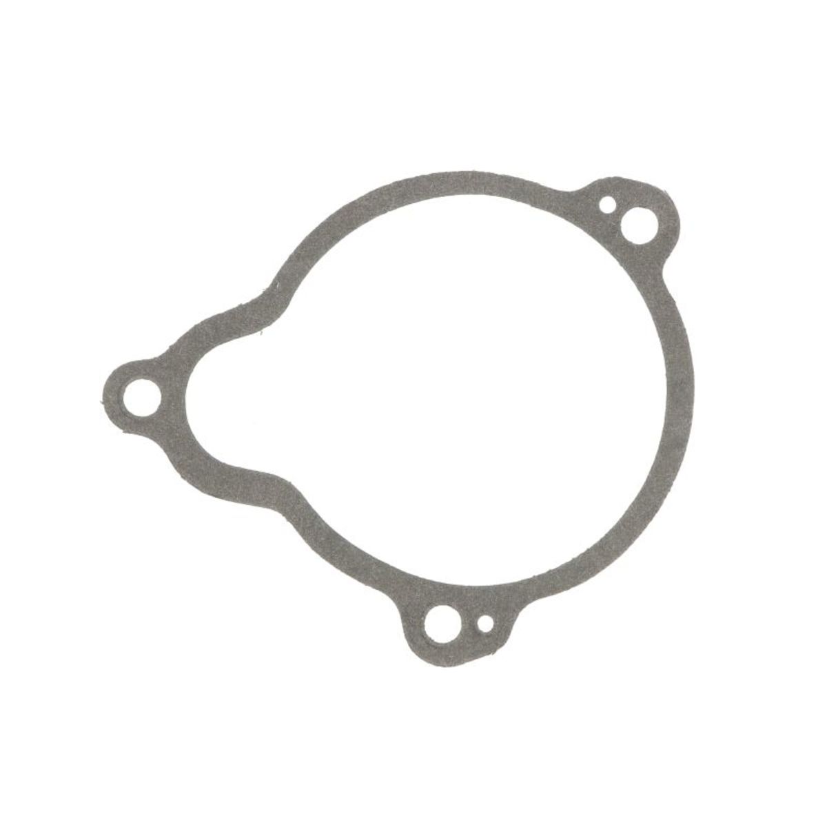 Lischtmaschinengehäusedichtung ATHENA S410195017010