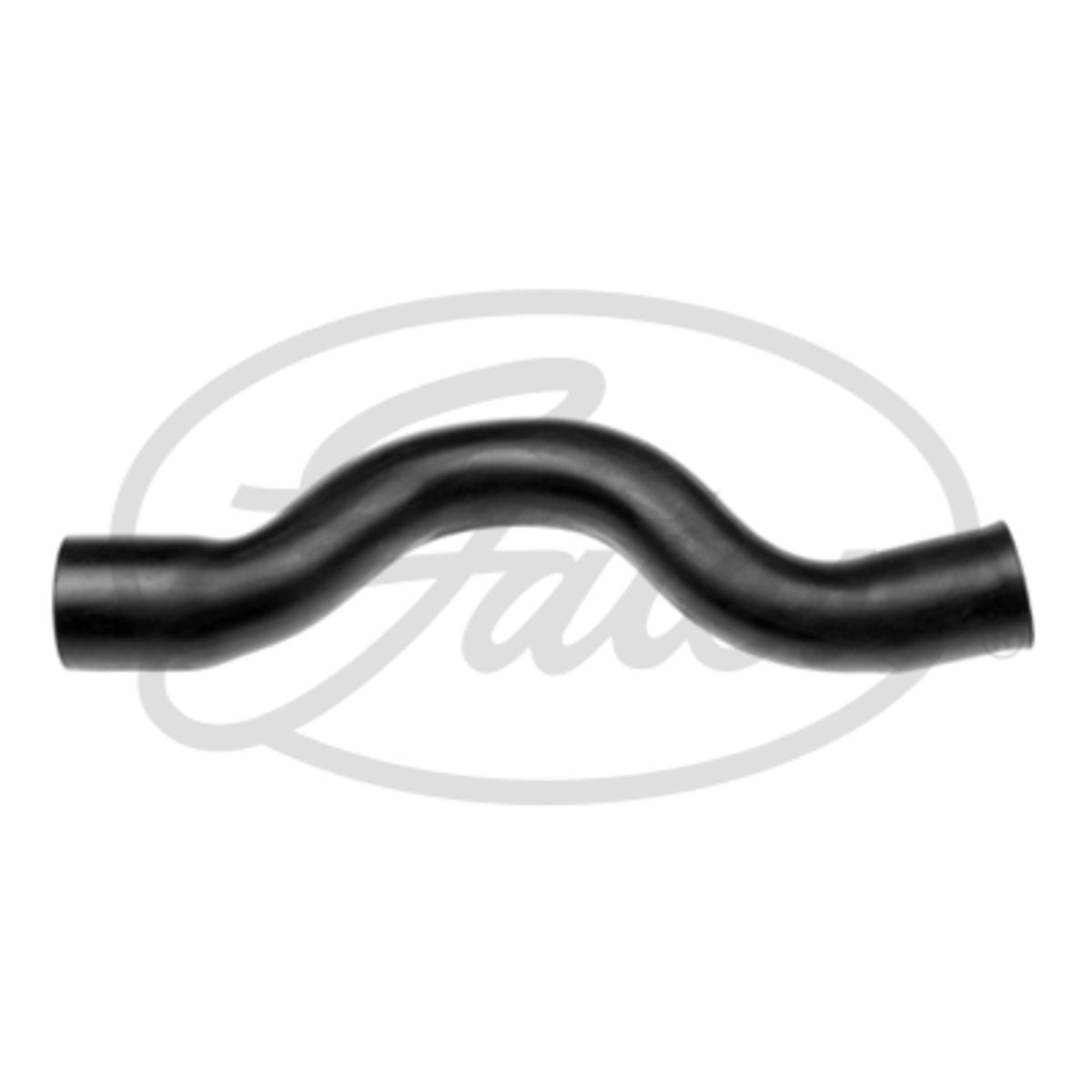 Image of Radiatorslang