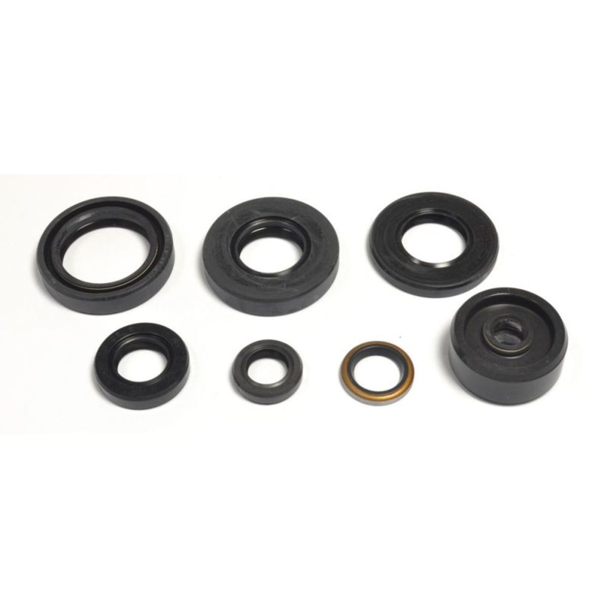 Motorsimmerringsatz ATHENA P400485400087