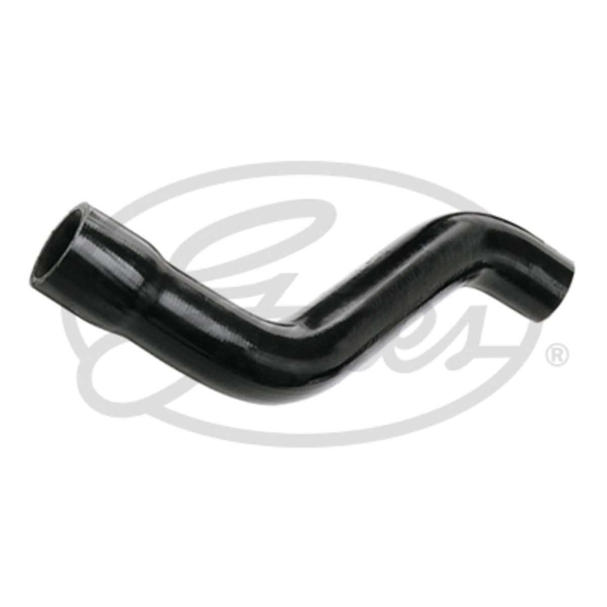 Image of Radiatorslang