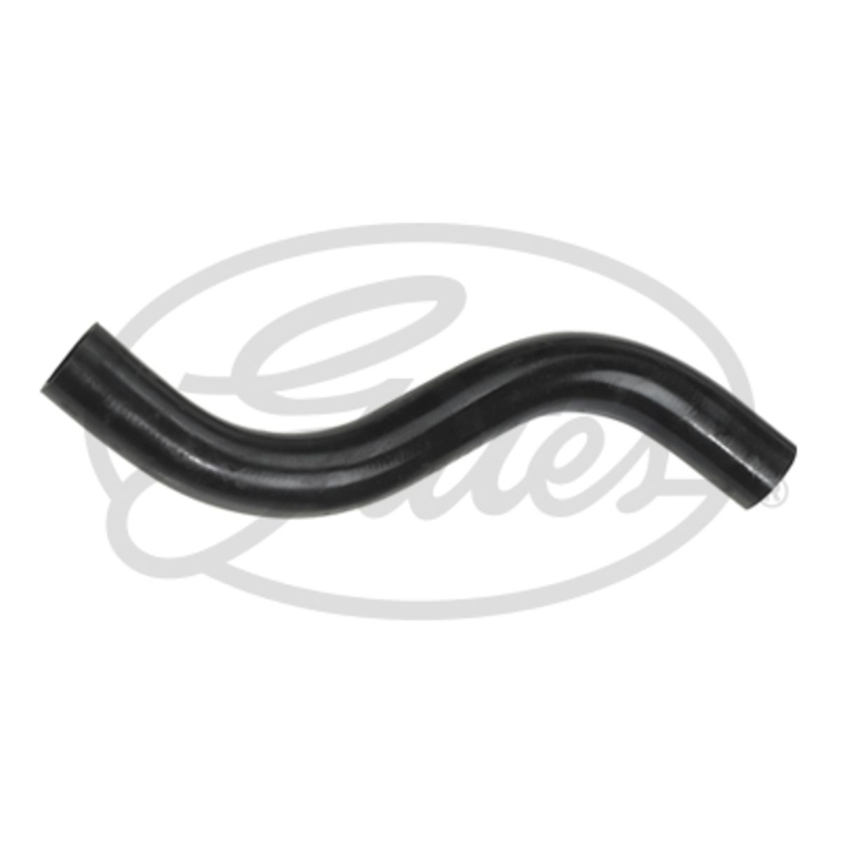 Radiatorslang