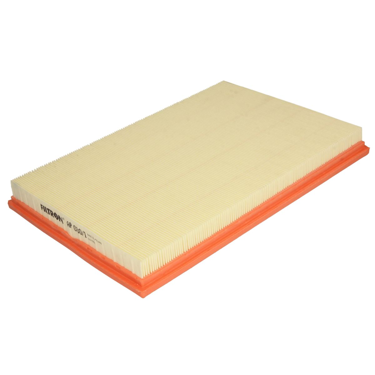 Filtron Filtro Aria Ap030/1