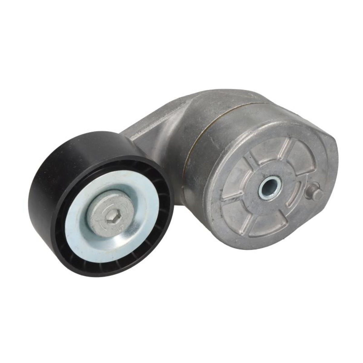 Image of Spanpoelie, V-riem