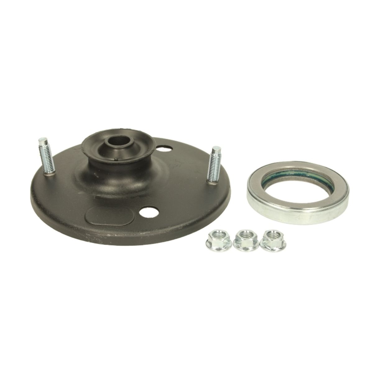 Image of Reparatieset, veerpoot