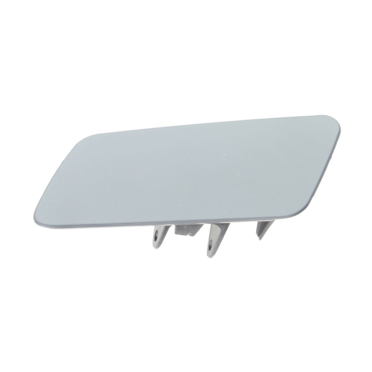 Moldura Protectora/decorativa, parachoques BLIC 5513-00-9586911P izquierda
