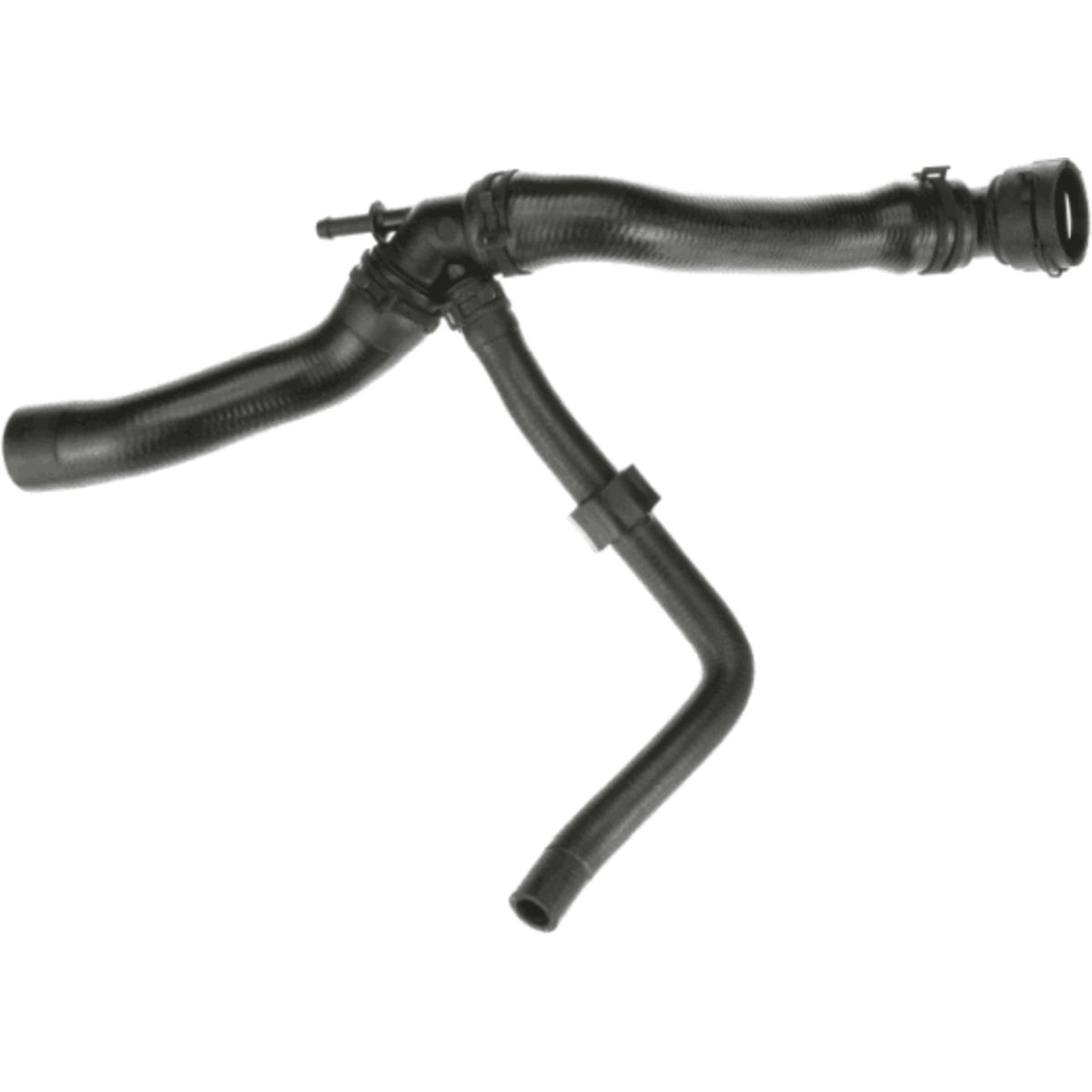 Image of Radiatorslang