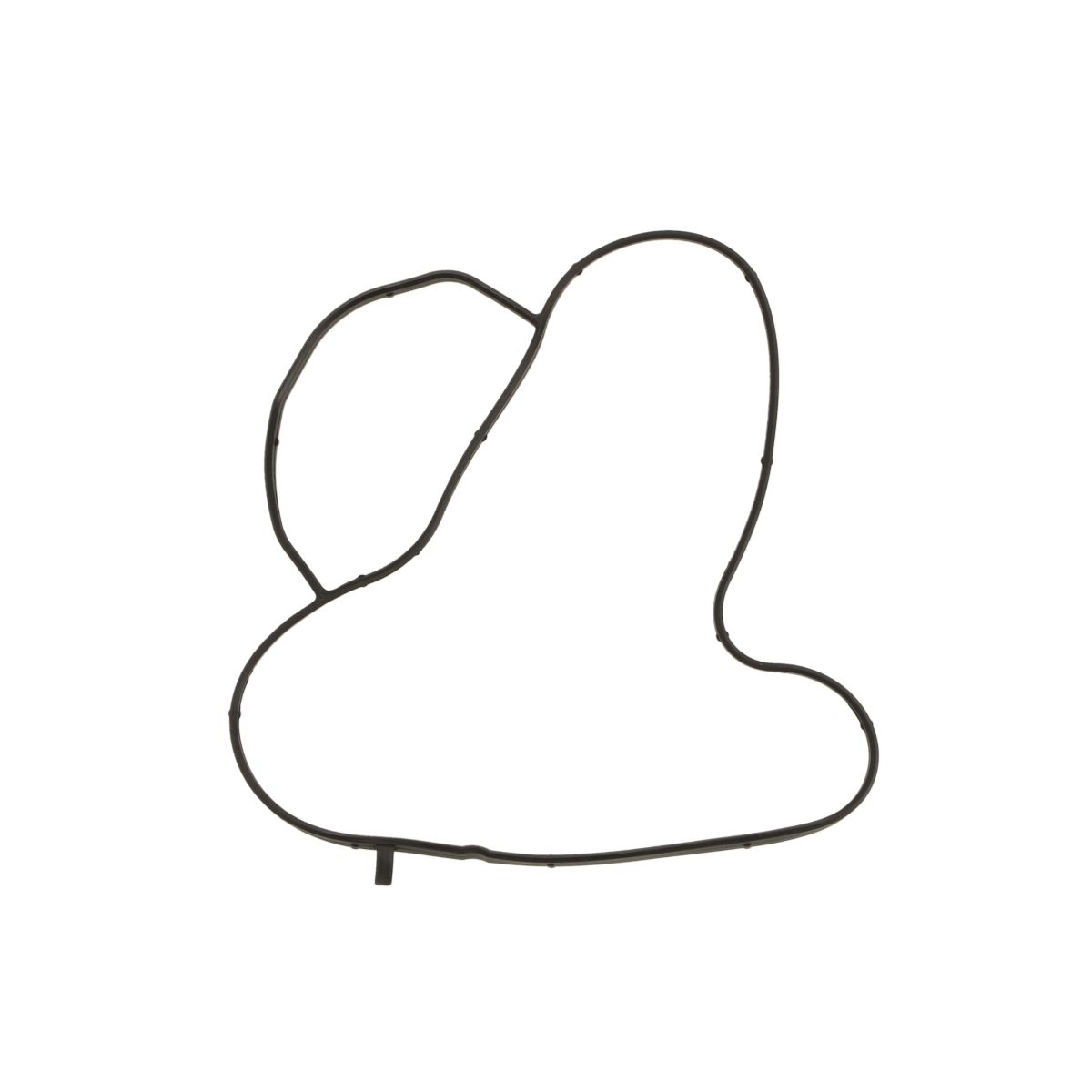 Image of Pakking, waterpomp