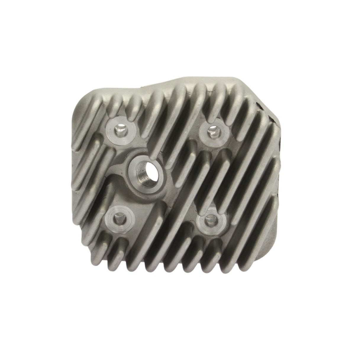 Zylinderkopf RMS 10 007 0060
