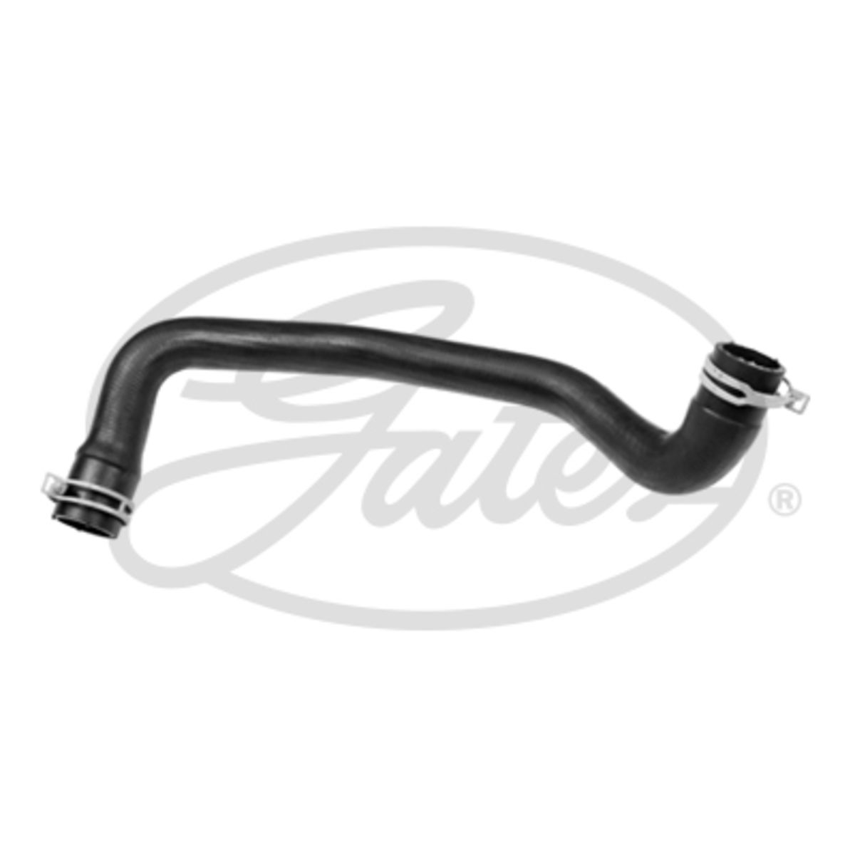 Image of Radiatorslang