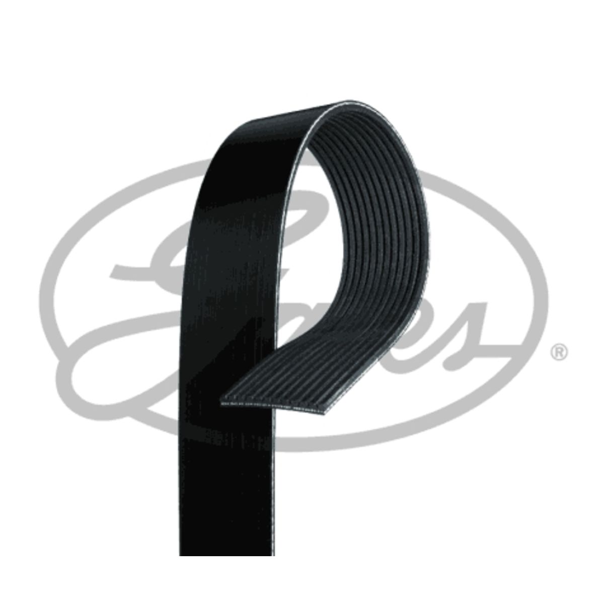 Image of V-riem
