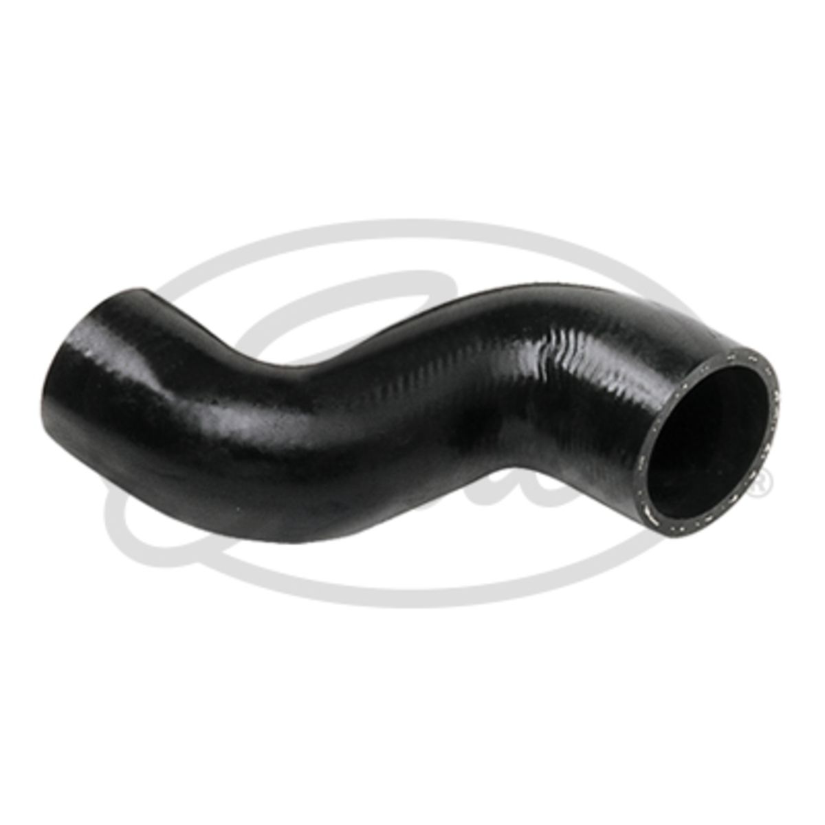 Image of Radiatorslang