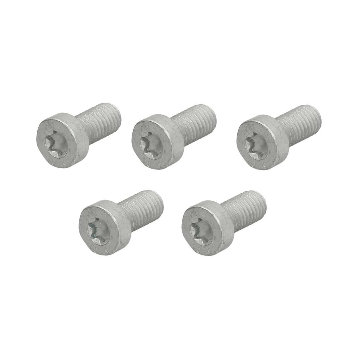 Vite, pompa common rail BOSCH F 01M 100 684, 5 Pezzo