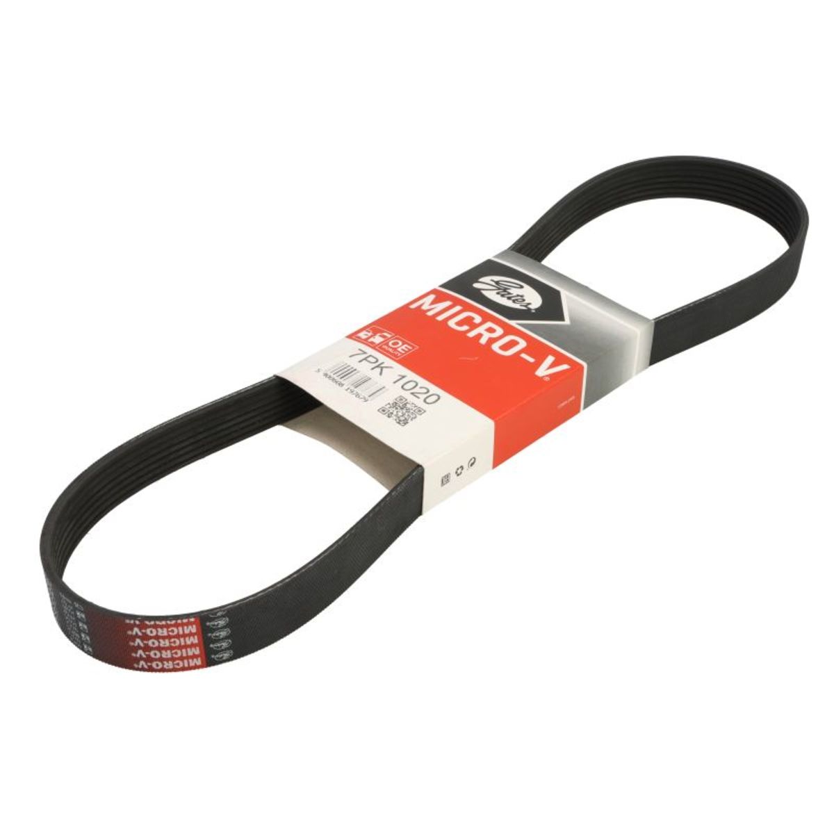 Nero Cinghia Poly-V Gates 7Pk1020