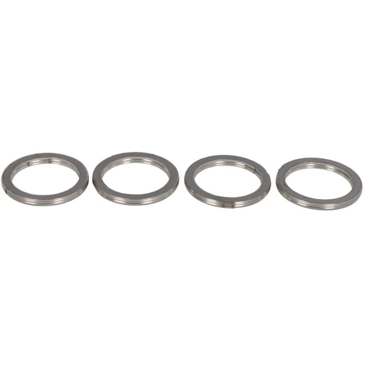 Abgasdichtung WINDEROSA W823033