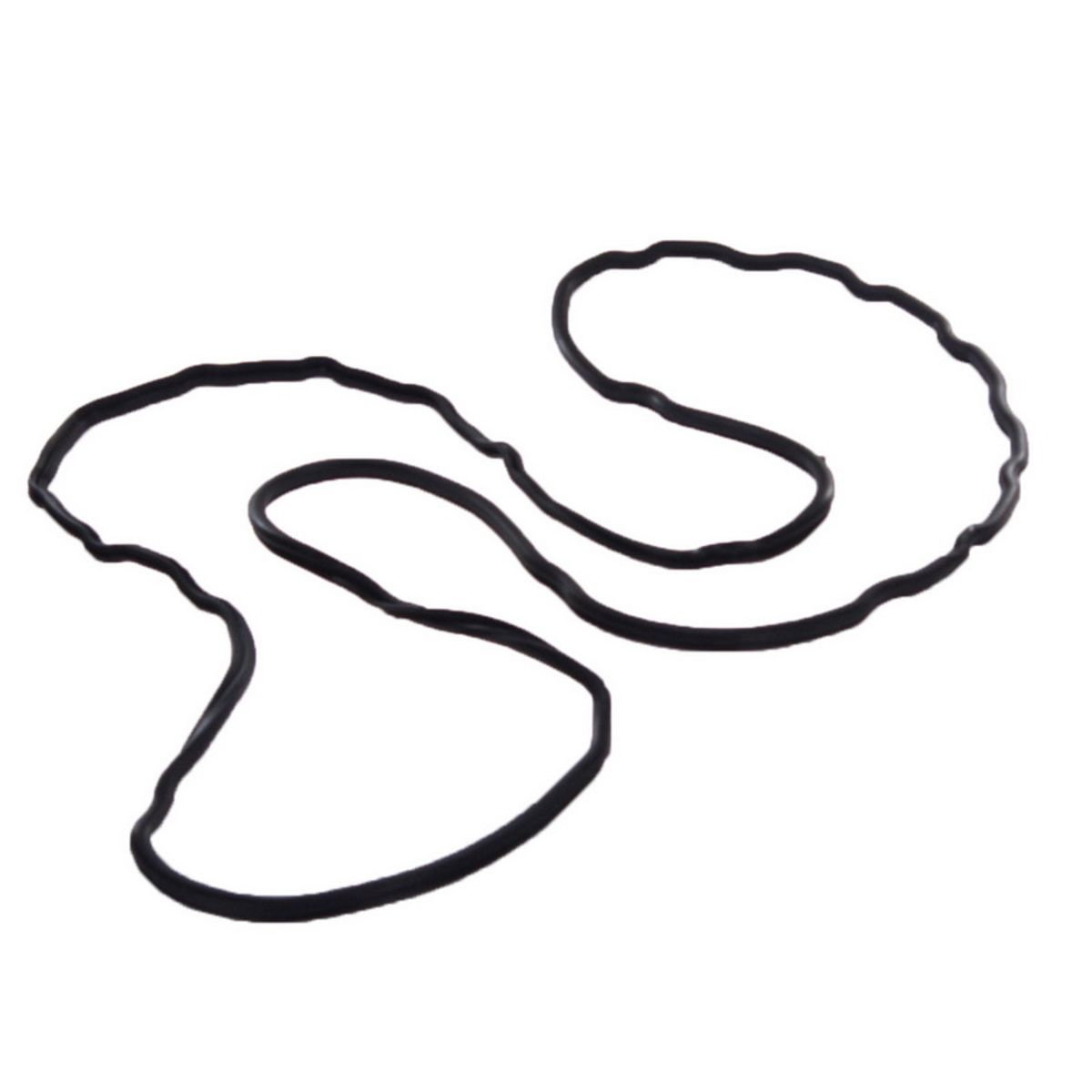 Image of Pakking, oliepomp