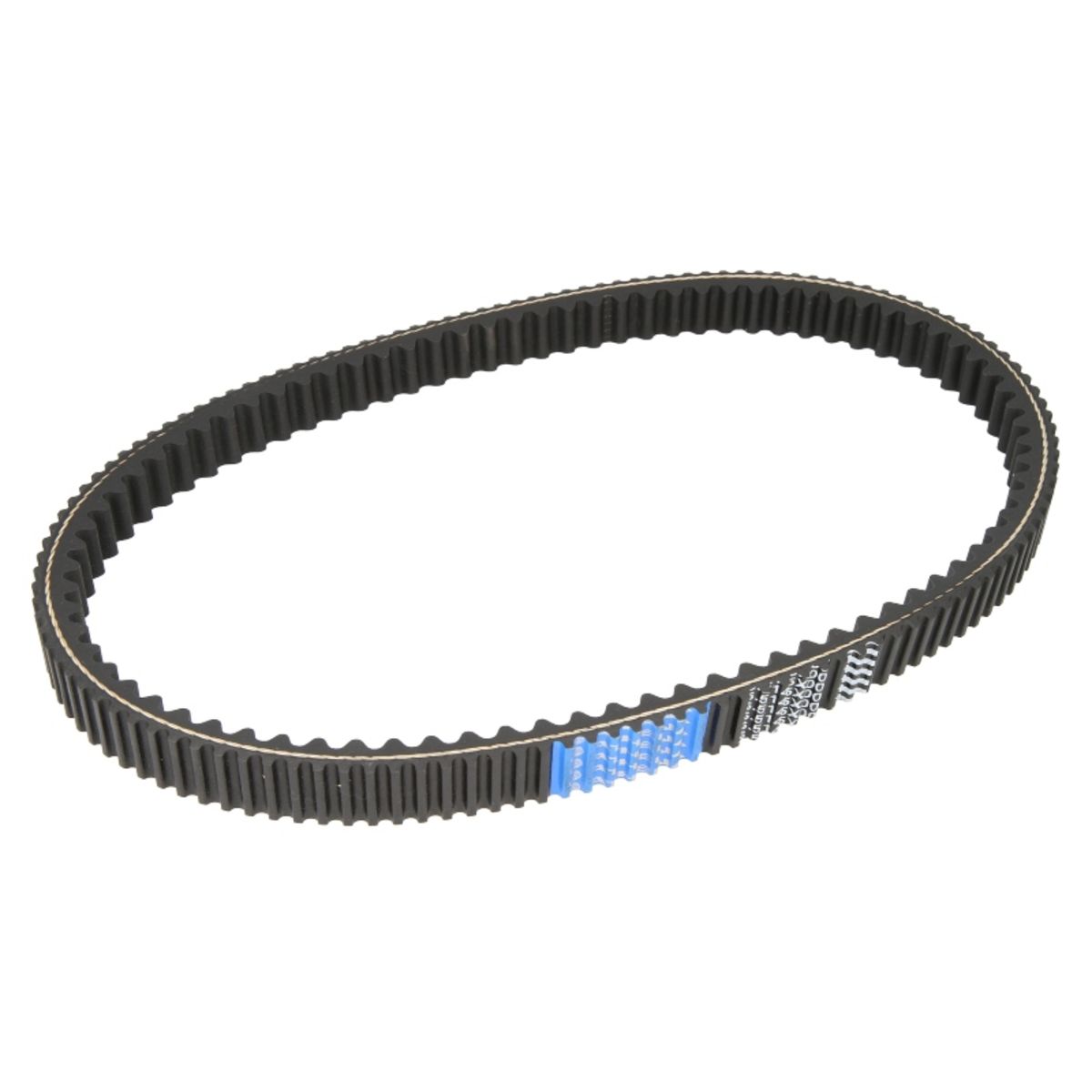 Cinghia di trasmissione ATHENA S410000350047