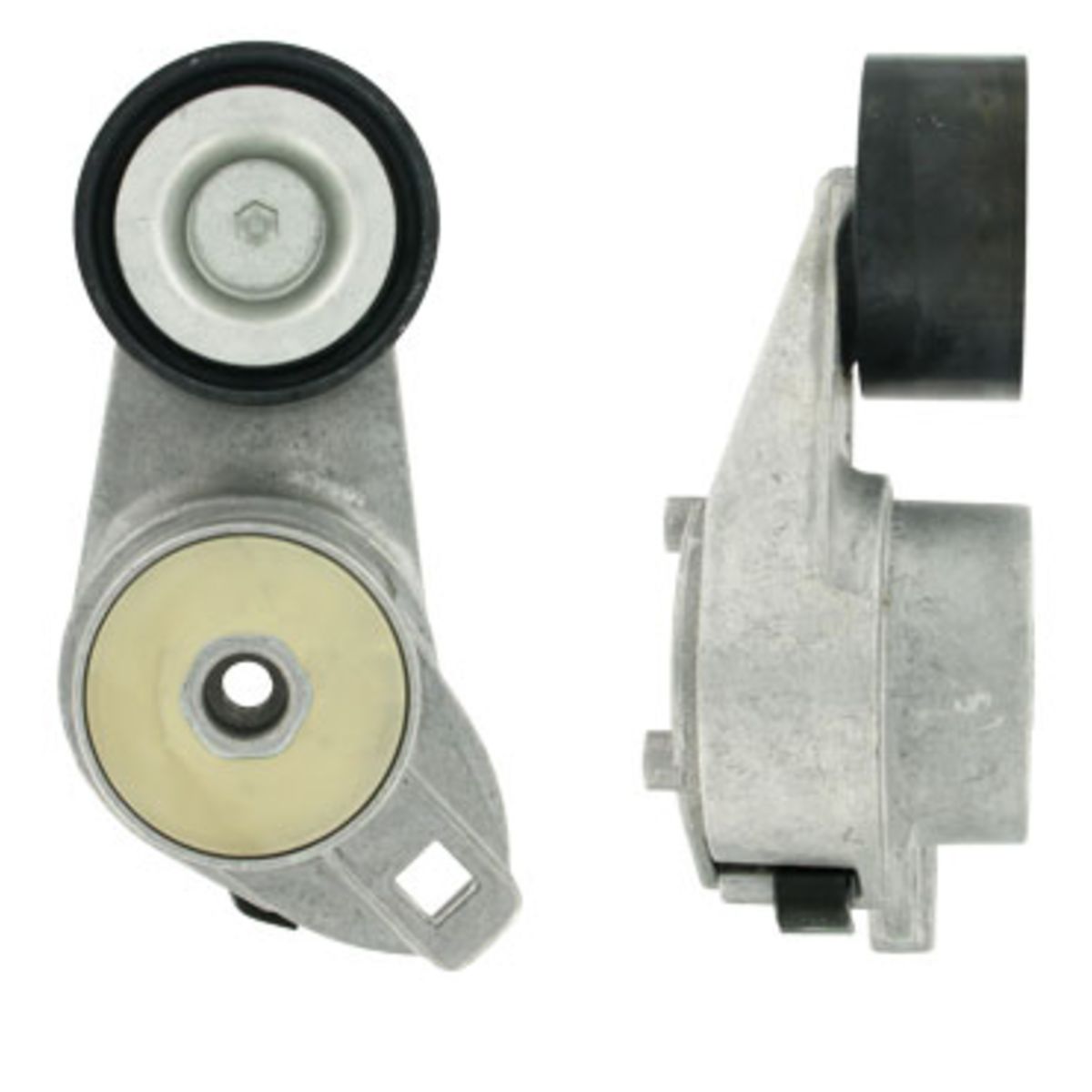 Image of Spanpoelie, V-riem