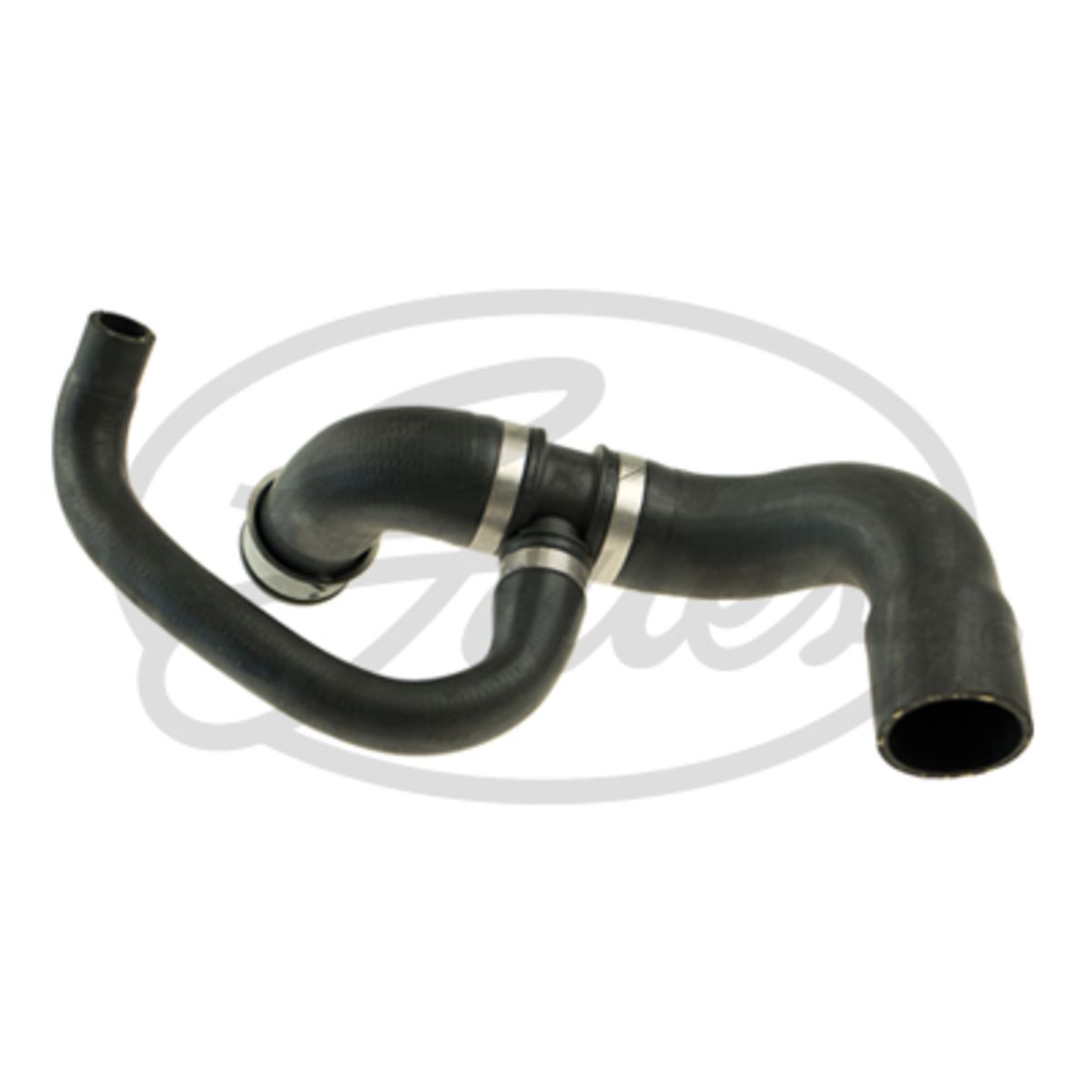 Image of Radiatorslang