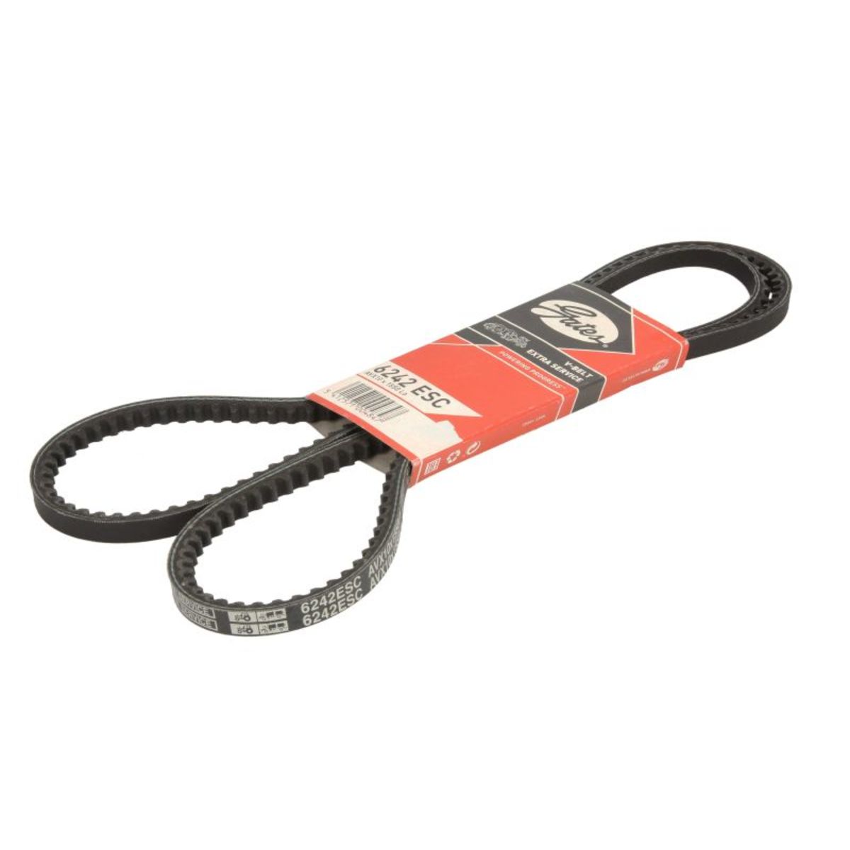 Negro Correa Poly V Gates Avx10x1550hd