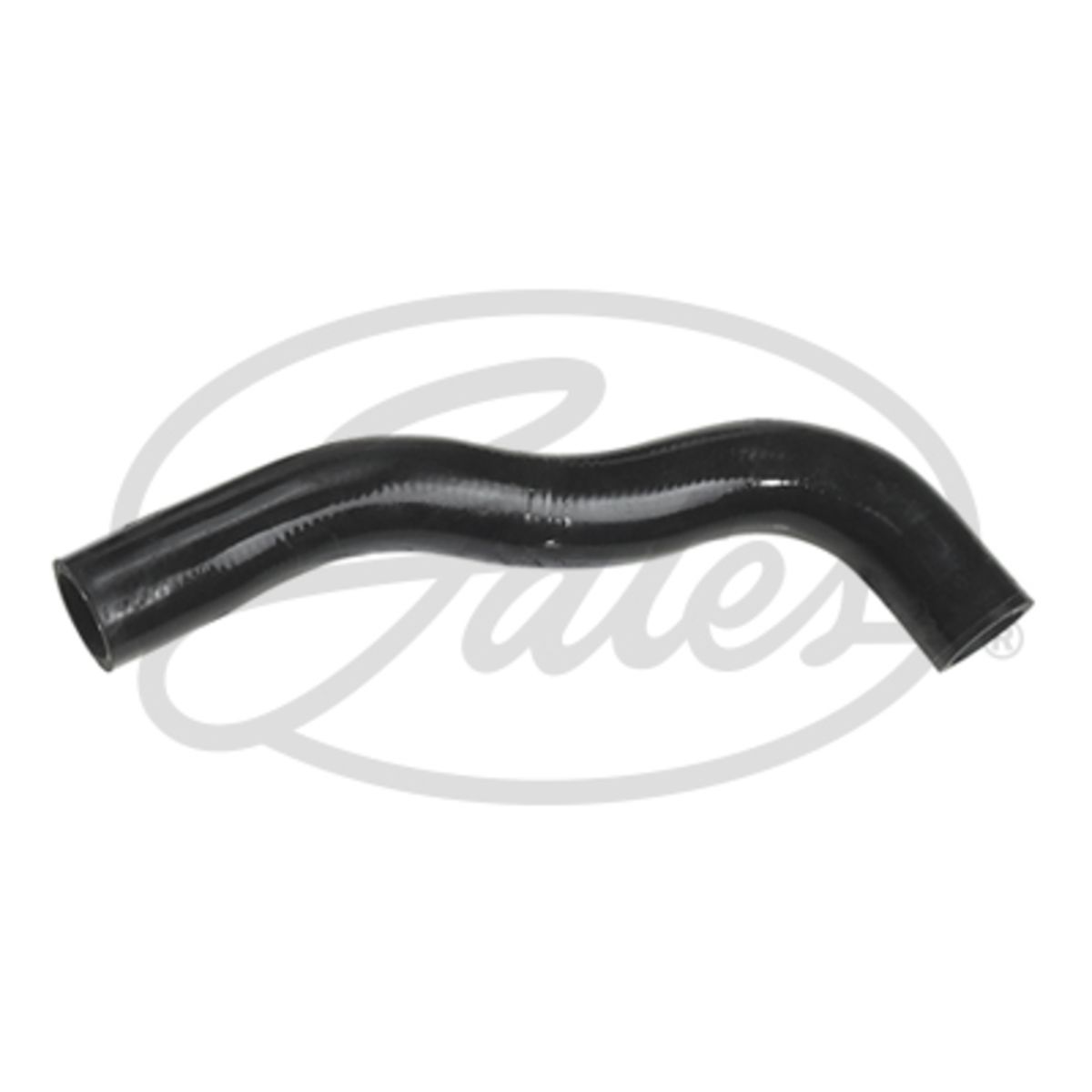 Image of Radiatorslang