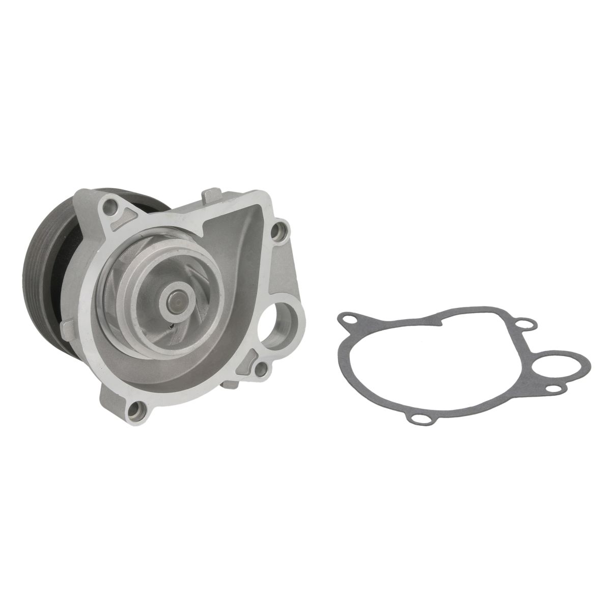 Thermotec Pompa Dell'acqua D1b014tt