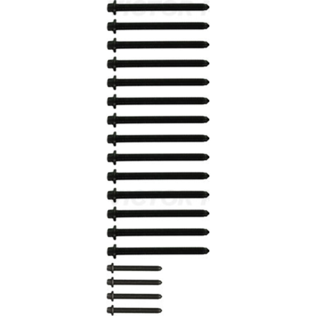 Reinz Cilinderkopbout set  14-10669-02