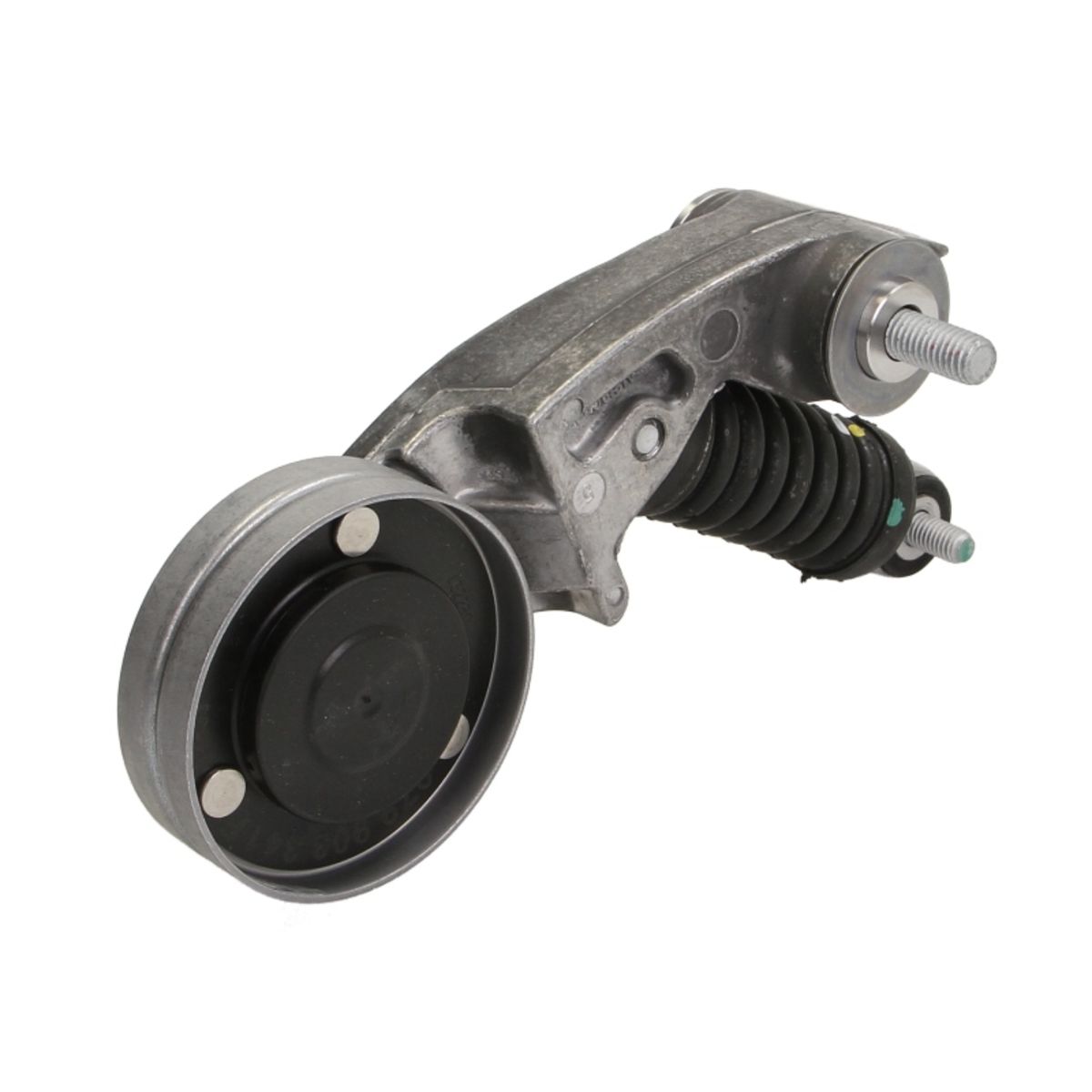 Image of Spanpoelie, V-riem