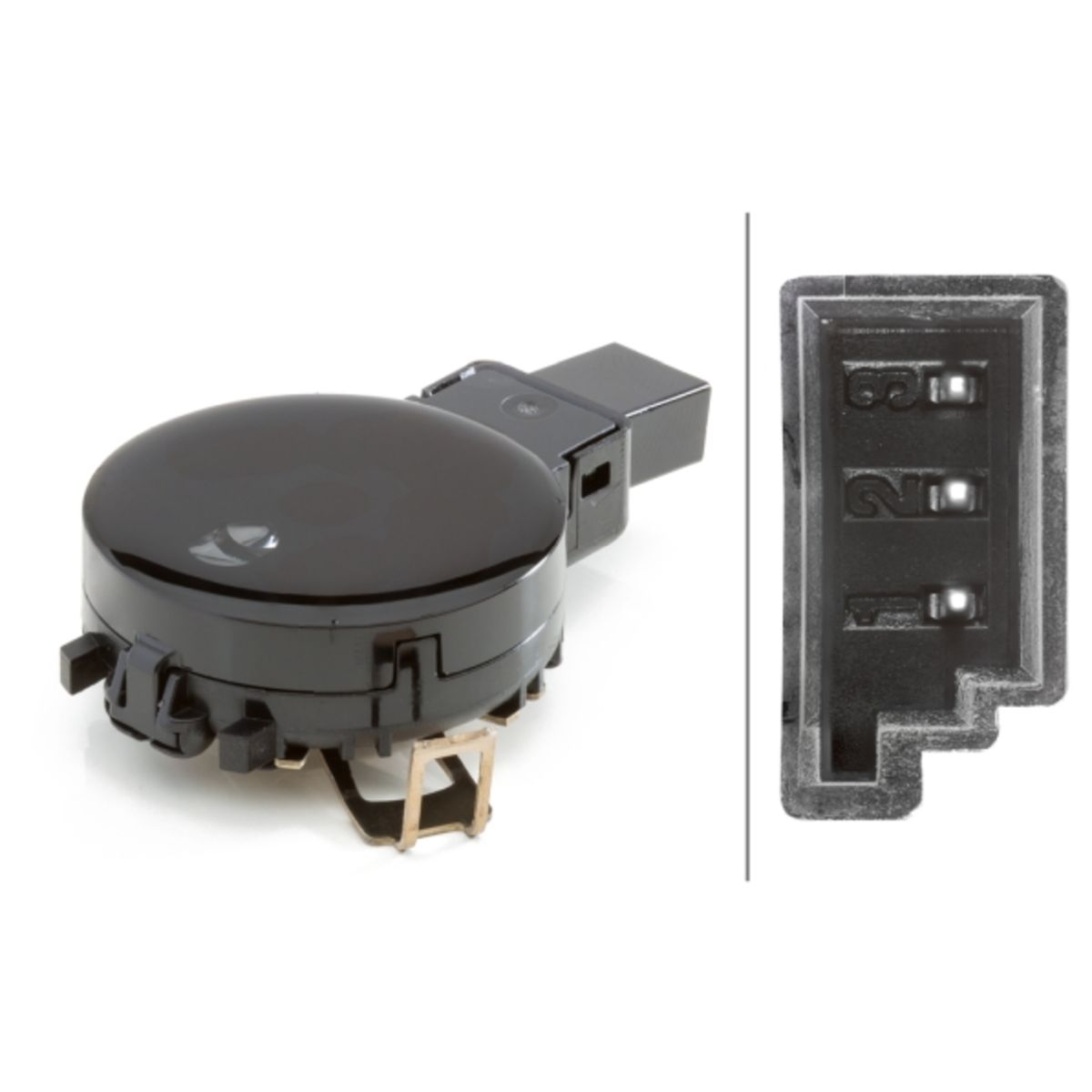 Image of Regensensor