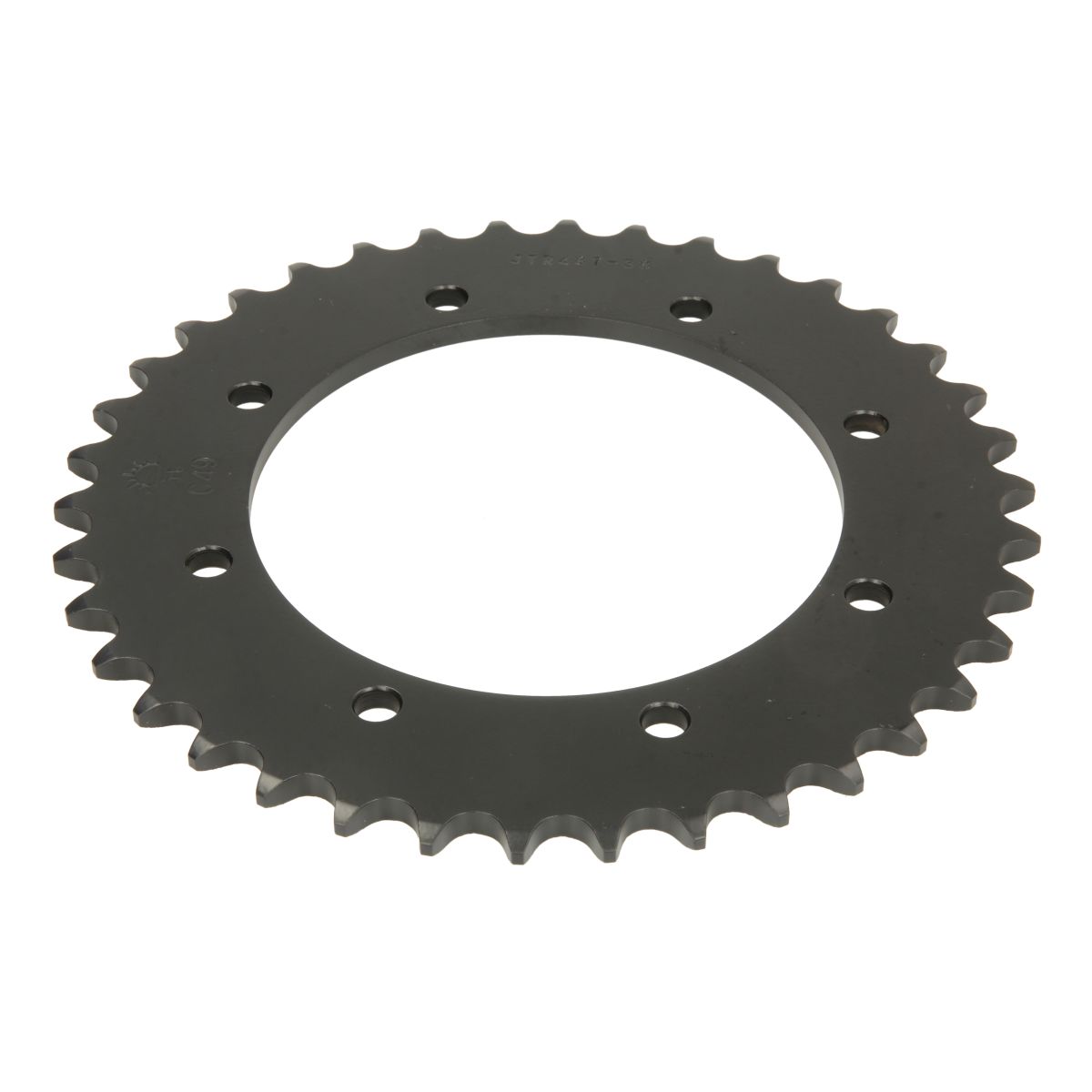Pignone posteriore JTR 487,38