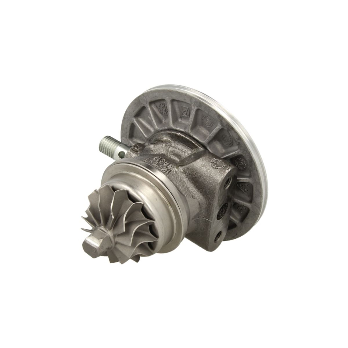 Image of Patroon / CHRA / kernassemblage