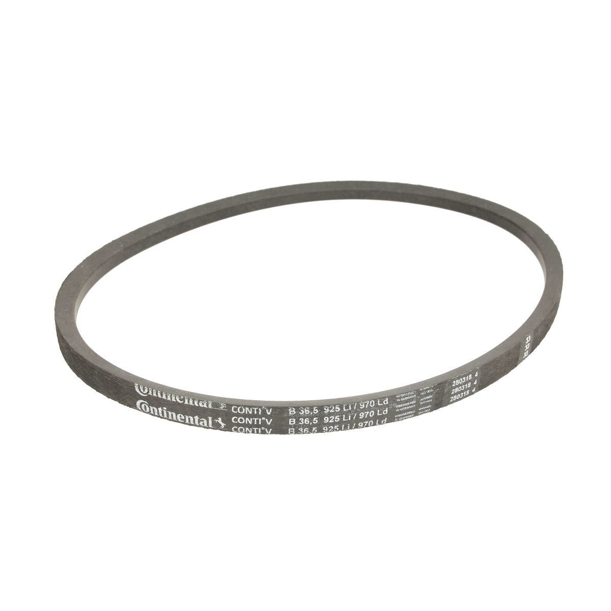 Image of V-riem CONTINENTAL