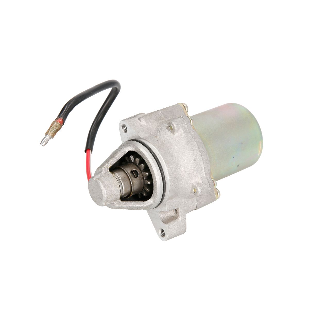 Image of Starter
