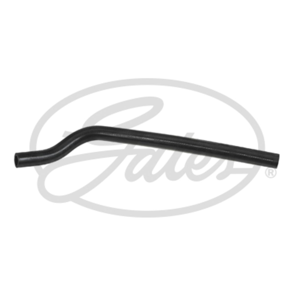 Image of Radiatorslang