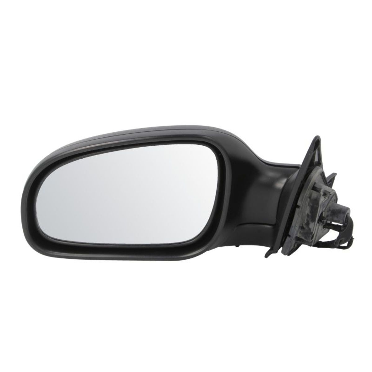 Blic Buitenspiegel  5402-24-2002751P