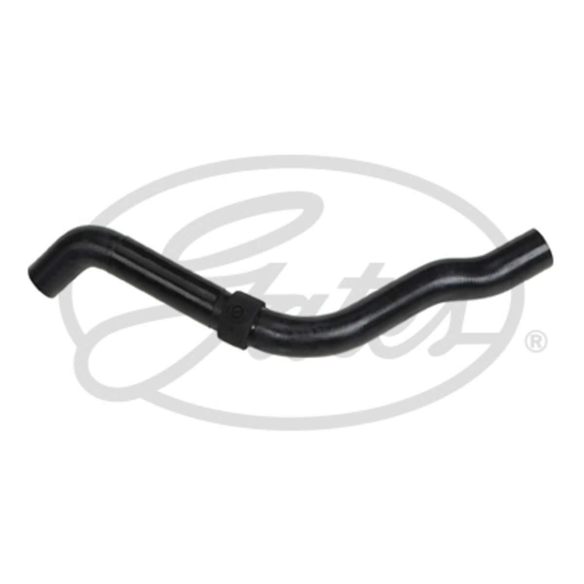 Image of Radiatorslang