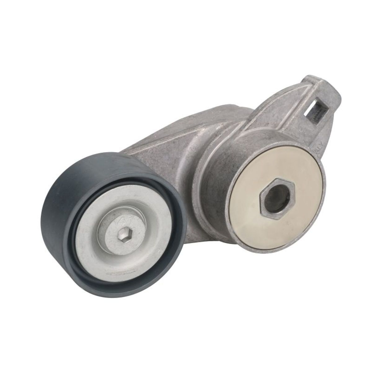 Image of Spanpoelie, V-riem