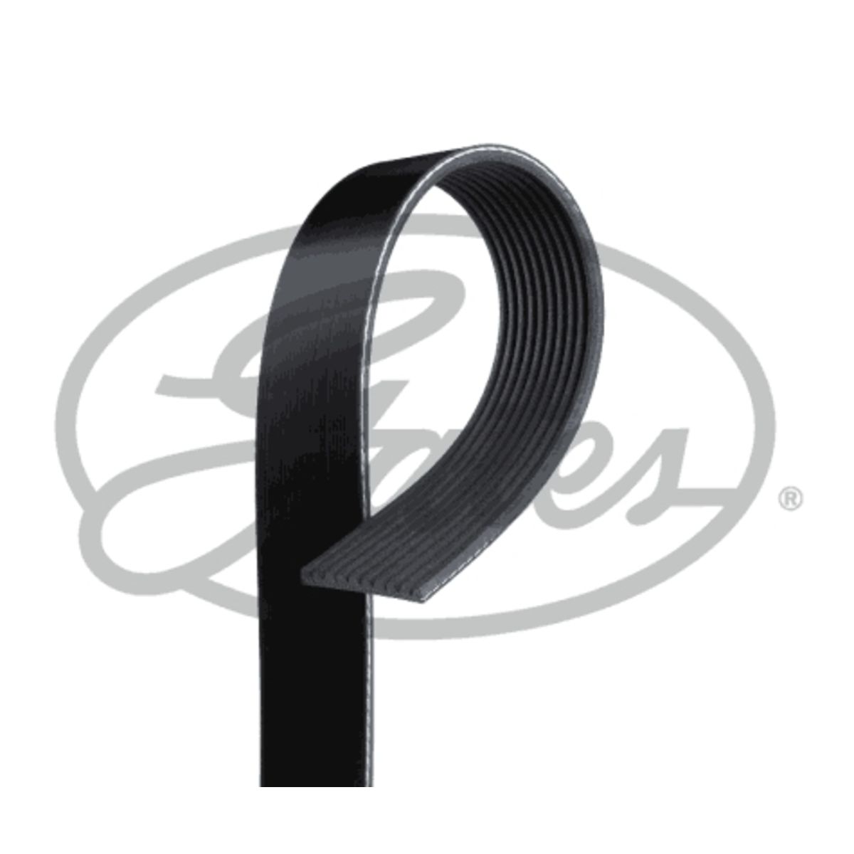 Image of V-riem