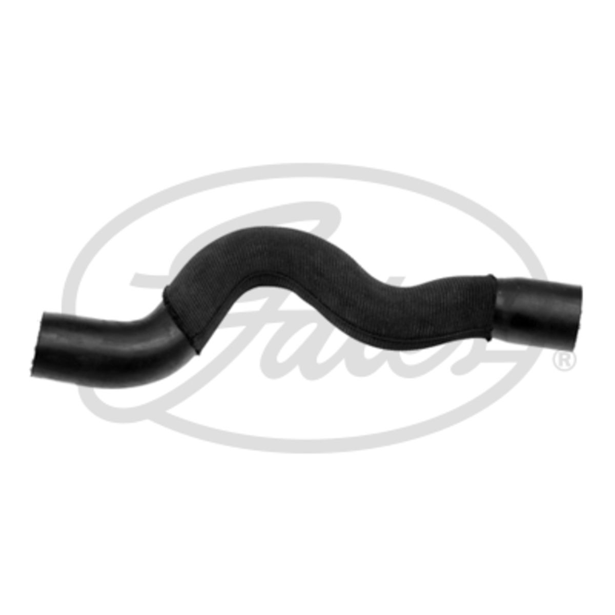 Image of Radiatorslang