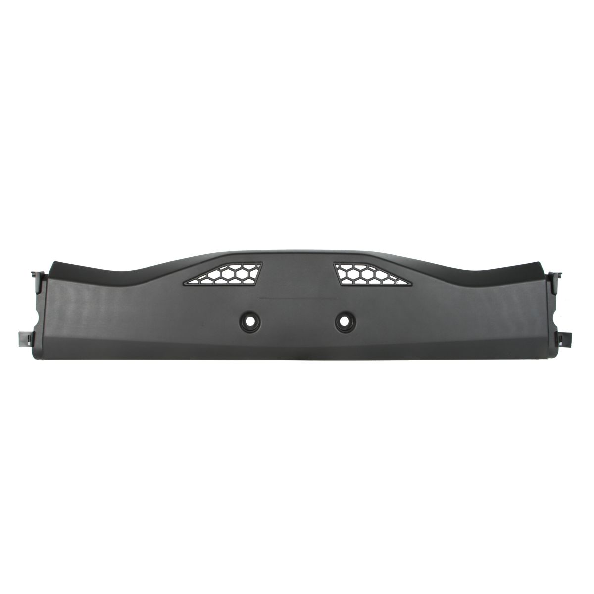 Image of Bumper