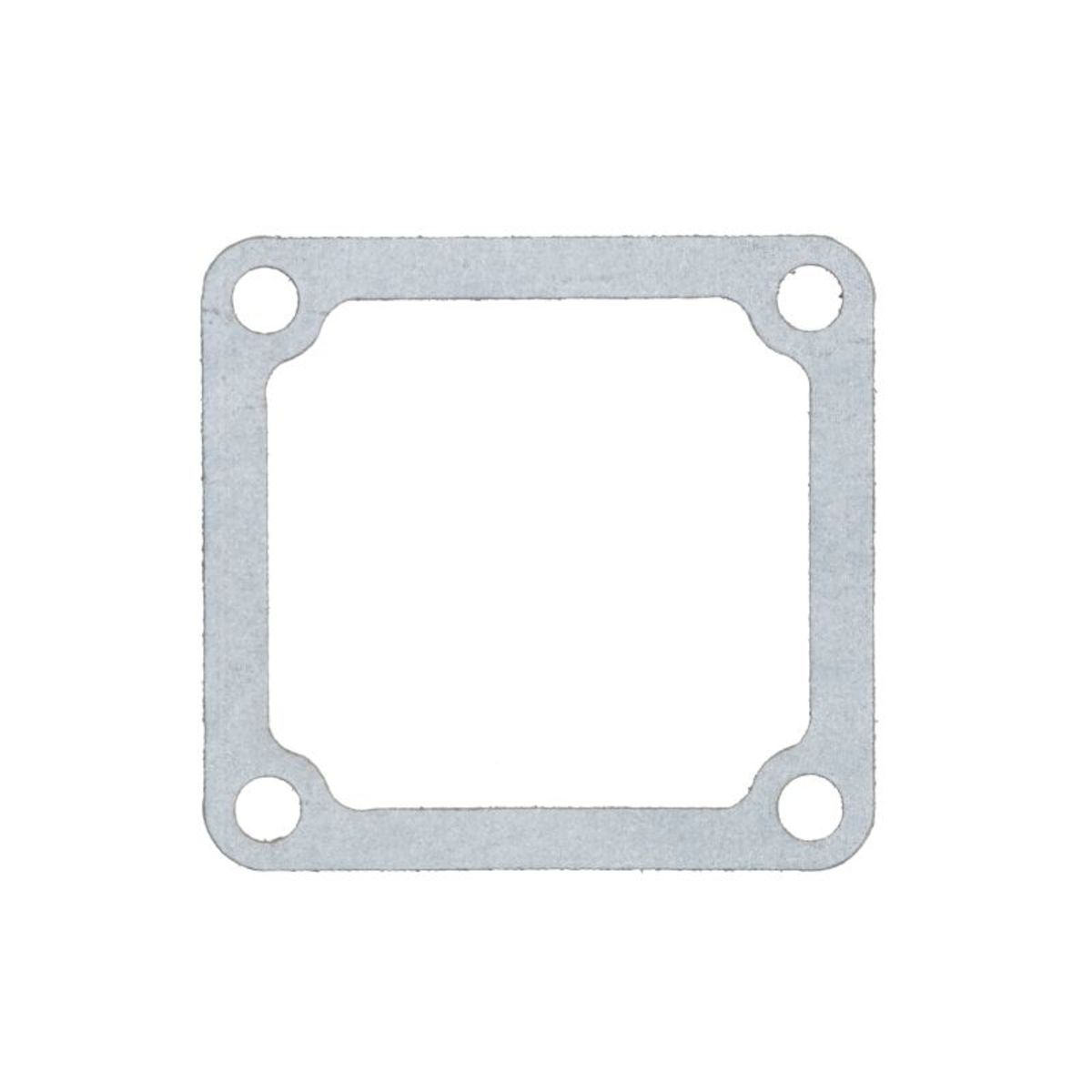 Lema Pakking, inlaatspruitstuk  21017.10