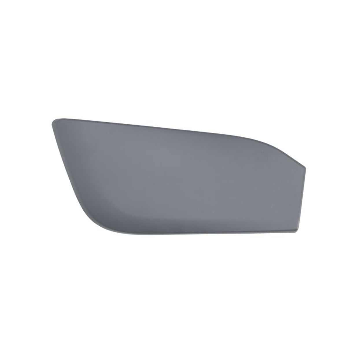 Parachoques - moldura decorativa/protectora BLIC 5513-00-0095972P derecha