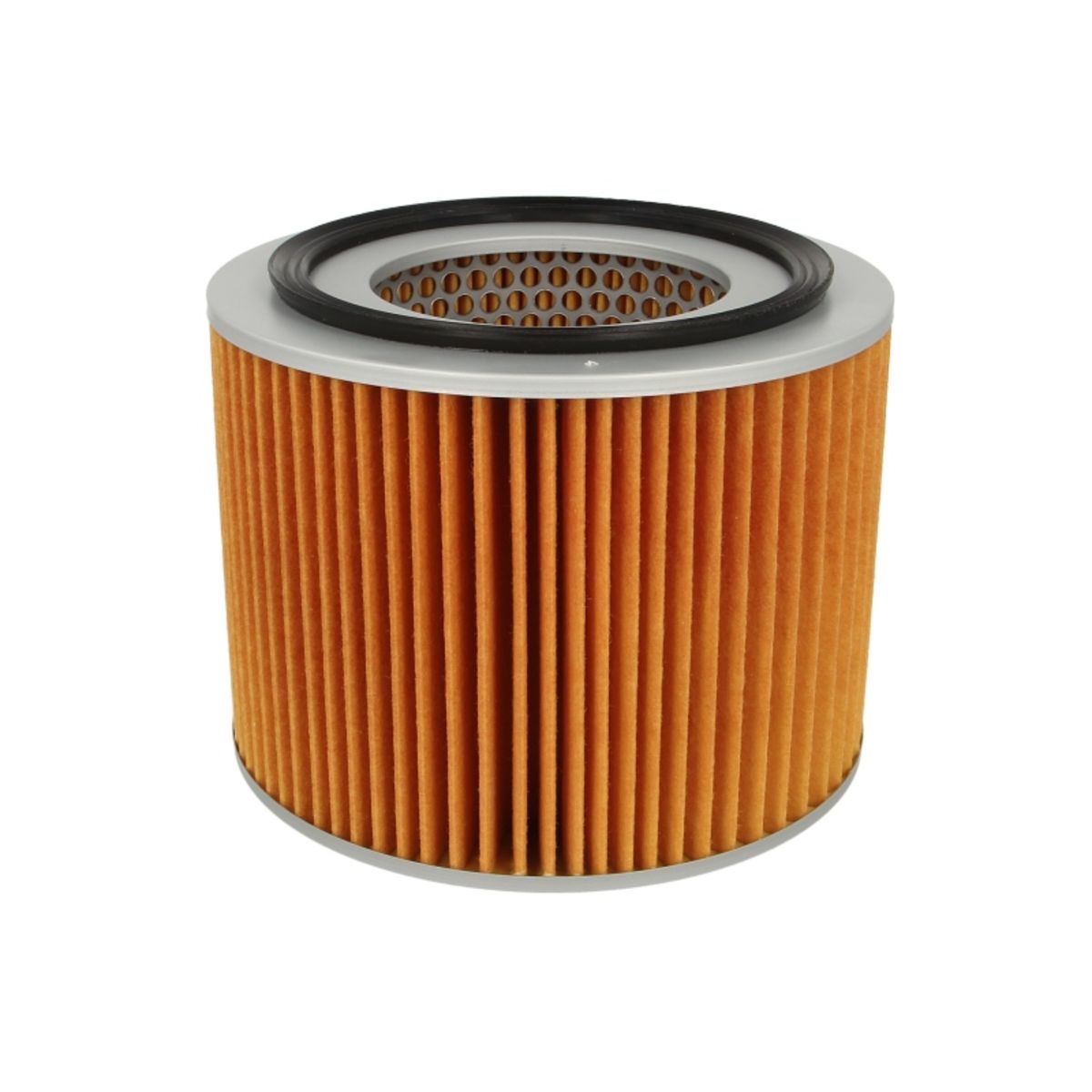 Mann-Filter Filtro Aria C 18 006