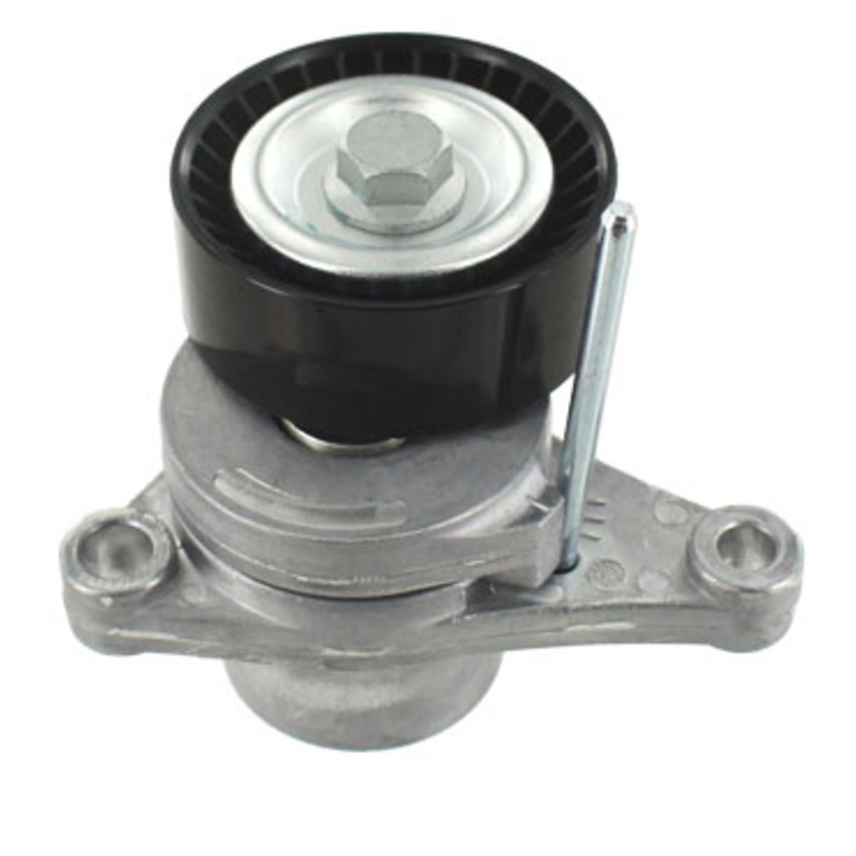 Image of Spanpoelie, V-riem